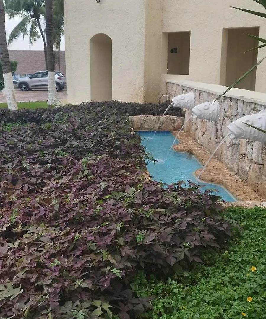 Cancun Plaza Estudios Frente Al Mar 0*,